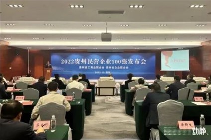 喜報！中偉股份榮登“2022貴州制造業(yè)民營企業(yè)20強(qiáng)”榜首