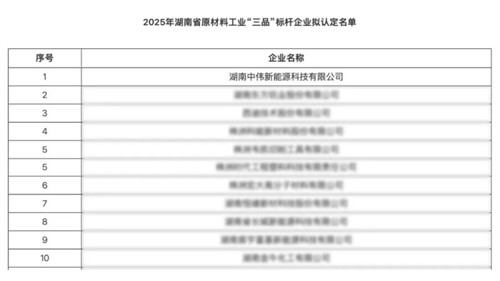 湖南中偉新能源獲評湖南省原材料工業(yè)“三品”標桿企業(yè)以創(chuàng)新賦能高質量發(fā)展